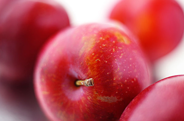 李子增肥還是減肥 痛風(fēng)能吃李子嗎 李子增肥還是減肥 痛風(fēng)能吃李子嗎