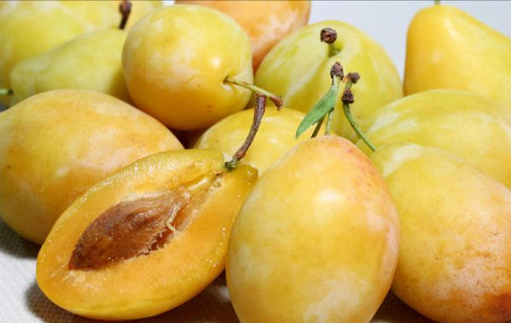 李子能多吃嗎對(duì)身體好嗎 李子能空腹吃嗎