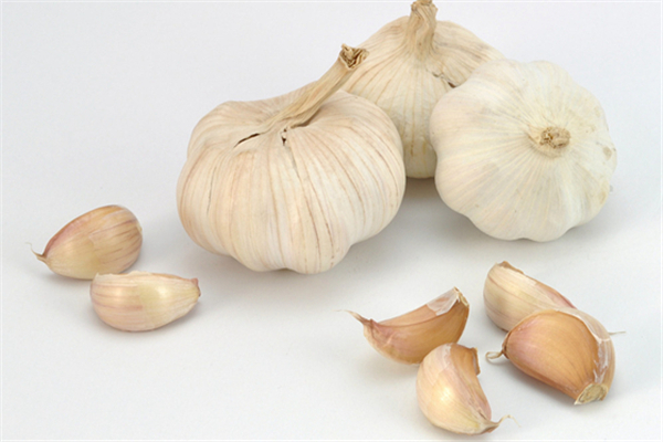 大蒜發(fā)芽了能吃嗎 大蒜發(fā)芽是蒜苗嗎 大蒜發(fā)芽了能吃嗎 大蒜發(fā)芽是蒜苗嗎