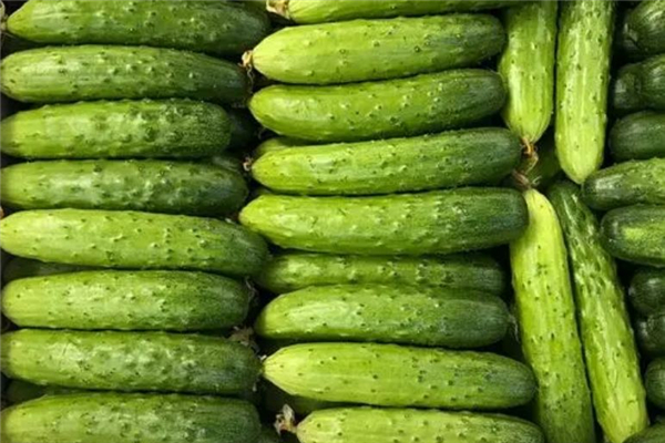 水果黃瓜洗完會掉綠色嗎 水果黃瓜洗完后水有顏色 水果黃瓜洗完會掉綠色嗎 水果黃瓜洗完后水有顏色