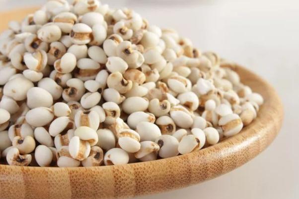 薏米對(duì)胃有傷害嗎 薏米對(duì)血糖有影響嗎 薏米對(duì)胃有傷害嗎 薏米對(duì)血糖有影響嗎