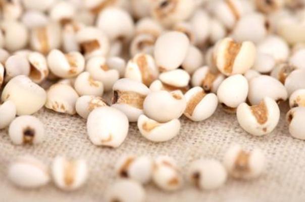 薏米對(duì)胃有傷害嗎 薏米對(duì)血糖有影響嗎 薏米對(duì)胃有傷害嗎 薏米對(duì)血糖有影響嗎