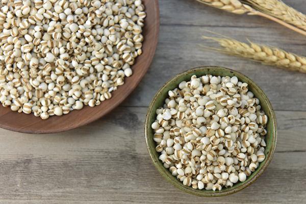 薏米對(duì)胃有傷害嗎 薏米對(duì)血糖有影響嗎 薏米對(duì)胃有傷害嗎 薏米對(duì)血糖有影響嗎