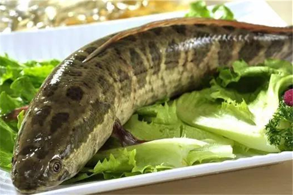 黑魚對傷口愈合有好處嗎 黑魚手術后能吃嗎