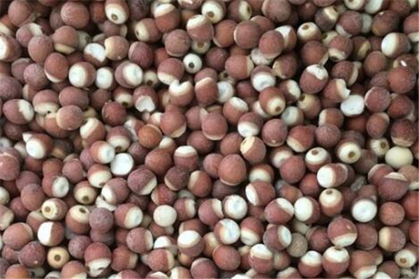 芡實有保質(zhì)期嗎 芡實保質(zhì)期是多長時間 芡實有保質(zhì)期嗎 芡實保質(zhì)期是多長時間