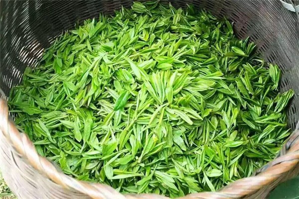 西湖龍井用多少度的水來(lái)泡 西湖龍井的口感和特點(diǎn) 西湖龍井用多少度的水來(lái)泡 西湖龍井的口感和特點(diǎn)