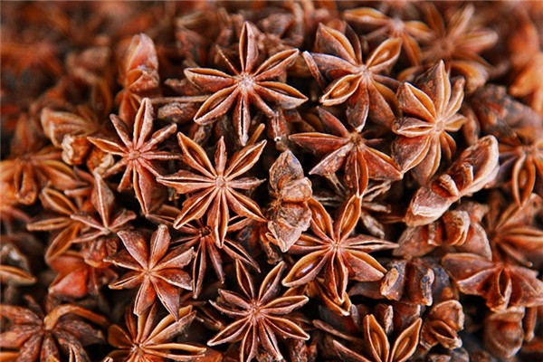八角會(huì)生蟲(chóng)子嗎 八角生蟲(chóng)還能吃嗎