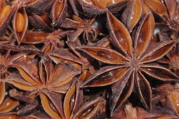 八角會(huì)生蟲(chóng)子嗎 八角生蟲(chóng)還能吃嗎