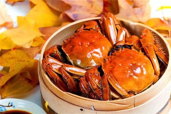 螃蟹怎么挑肥的 螃蟹買公蟹還是母蟹 螃蟹怎么挑肥的 螃蟹買公蟹還是母蟹