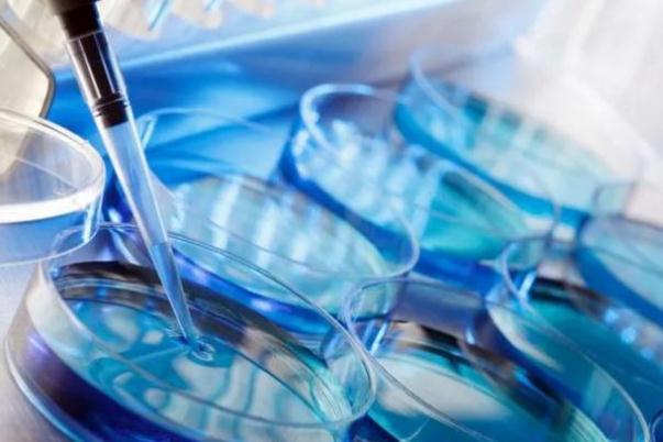 試管嬰兒會(huì)宮外孕嗎 試管嬰兒會(huì)胎停嗎