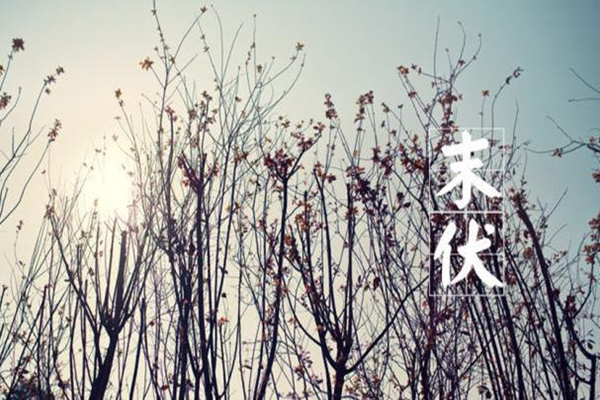 全國(guó)末伏熱力地圖出爐 末伏天還熱嗎