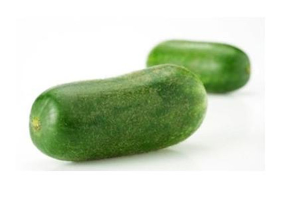 節(jié)瓜會胖嗎 節(jié)瓜會回奶嗎 節(jié)瓜會胖嗎 節(jié)瓜會回奶嗎