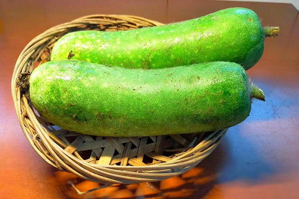 節(jié)瓜會胖嗎 節(jié)瓜會回奶嗎 節(jié)瓜會胖嗎 節(jié)瓜會回奶嗎