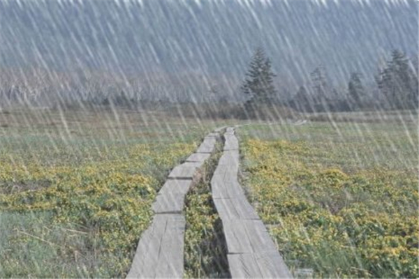 暴雨中的柳林鎮(zhèn)為何成重災(zāi)區(qū) 暴雨一般發(fā)生在什么季節(jié) 暴雨中的柳林鎮(zhèn)為何成重災(zāi)區(qū) 暴雨一般發(fā)生在什么季節(jié)