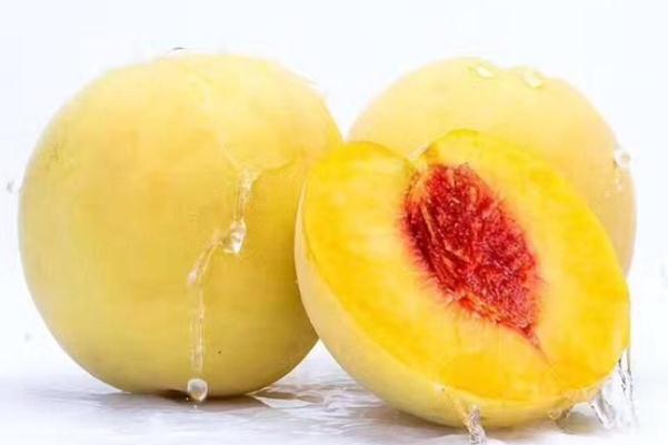 黃桃的保存方法 黃桃可以放多久 黃桃的保存方法 黃桃可以放多久