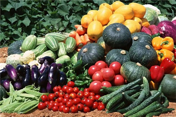 有機蔬菜會有蟲子嗎 有機蔬菜會打農(nóng)藥嗎