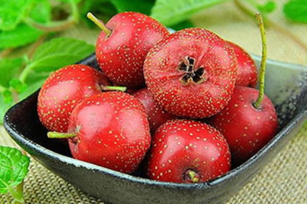 山楂孕婦能吃嗎 山楂孕婦為什么不能吃 山楂孕婦能吃嗎 山楂孕婦為什么不能吃