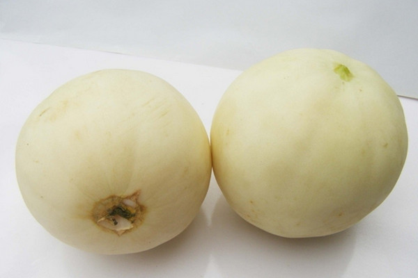 香瓜可以和牛奶一起吃嗎 香瓜可以和火龍果一起吃嗎 香瓜可以和牛奶一起吃嗎 香瓜可以和火龍果一起吃嗎