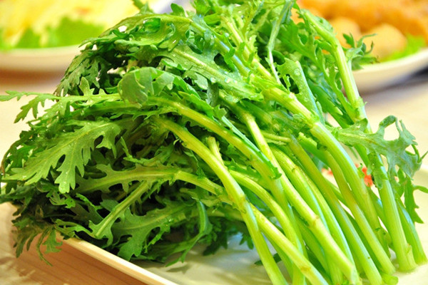 茼蒿痛風(fēng)能吃嗎 茼蒿咳嗽能吃嗎 茼蒿痛風(fēng)能吃嗎 茼蒿咳嗽能吃嗎