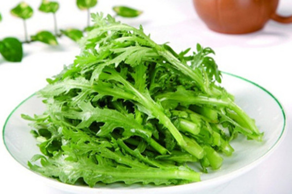 茼蒿痛風(fēng)能吃嗎 茼蒿咳嗽能吃嗎 茼蒿痛風(fēng)能吃嗎 茼蒿咳嗽能吃嗎