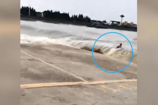 被錢塘江潮水卷走男子確認(rèn)身亡 觀潮時(shí)要注意哪些事項(xiàng)