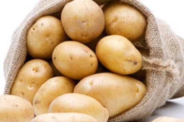 土豆的熱量高嗎 土豆的嘌呤含量高嗎 土豆的熱量高嗎 土豆的嘌呤含量高嗎