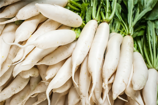 白蘿卜會(huì)引起寶寶脹氣嗎 白蘿卜怎么給寶寶做輔食 白蘿卜會(huì)引起寶寶脹氣嗎 白蘿卜怎么給寶寶做輔食