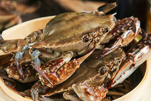 梭子蟹需要蒸幾分鐘 梭子蟹怎么蒸好吃 梭子蟹需要蒸幾分鐘 梭子蟹怎么蒸好吃