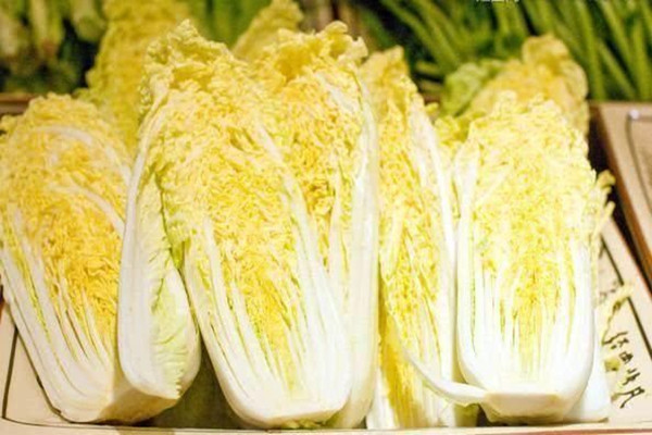 娃娃菜怎么選 娃娃菜怎么保存時間長 娃娃菜怎么選 娃娃菜怎么保存時間長