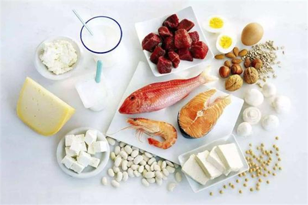 優(yōu)質(zhì)蛋白是什么意思 優(yōu)質(zhì)蛋白食物有哪些 優(yōu)質(zhì)蛋白是什么意思 優(yōu)質(zhì)蛋白食物有哪些