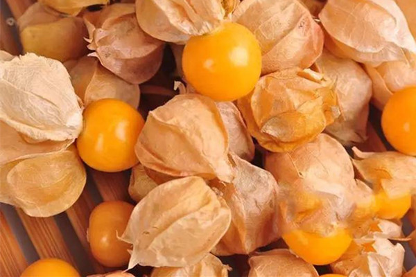 姑娘果是什么季節(jié)的 姑娘果是不是涼性的 姑娘果是什么季節(jié)的 姑娘果是不是涼性的