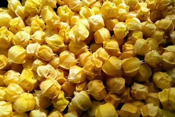 姑娘果能放多久 姑娘果能放冰箱里嗎