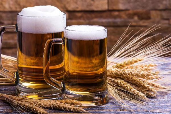 啤酒有害健康嗎 啤酒有助于減肥嗎 啤酒有害健康嗎 啤酒有助于減肥嗎