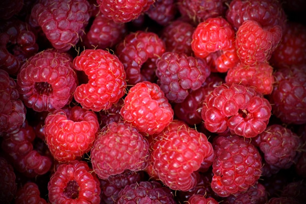 覆盆子含糖量高嗎 覆盆子糖尿病人能吃嗎 覆盆子含糖量高嗎 覆盆子糖尿病人能吃嗎