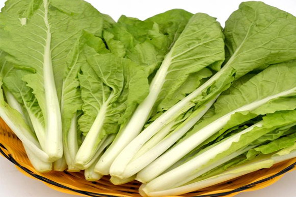 小白菜什么人不能吃 小白菜不能和什么一起吃 小白菜什么人不能吃 小白菜不能和什么一起吃