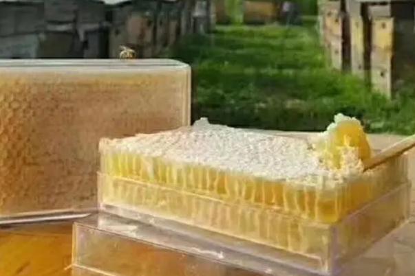 蜂巢蜜會發(fā)胖嗎 蜂巢蜜會結晶嗎 蜂巢蜜會發(fā)胖嗎 蜂巢蜜會結晶嗎