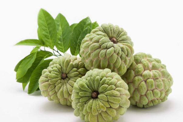 釋迦果要怎么保存 釋迦果和番荔枝的區(qū)別 釋迦果要怎么保存 釋迦果和番荔枝的區(qū)別