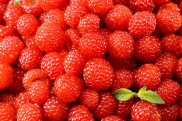 樹莓是幾月份成熟 樹莓是什么味道 樹莓是幾月份成熟 樹莓是什么味道