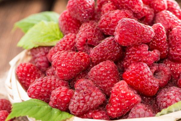 樹(shù)莓可以冷凍保存嗎 樹(shù)莓可以和酸奶一起吃嗎 樹(shù)莓可以冷凍保存嗎 樹(shù)莓可以和酸奶一起吃嗎