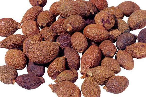 胖大海是涼性還是熱性 胖大海有什么攻效 胖大海是涼性還是熱性 胖大海有什么攻效