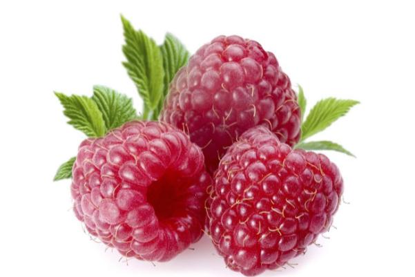 樹(shù)莓可以冷凍保存嗎 樹(shù)莓可以和酸奶一起吃嗎 樹(shù)莓可以冷凍保存嗎 樹(shù)莓可以和酸奶一起吃嗎