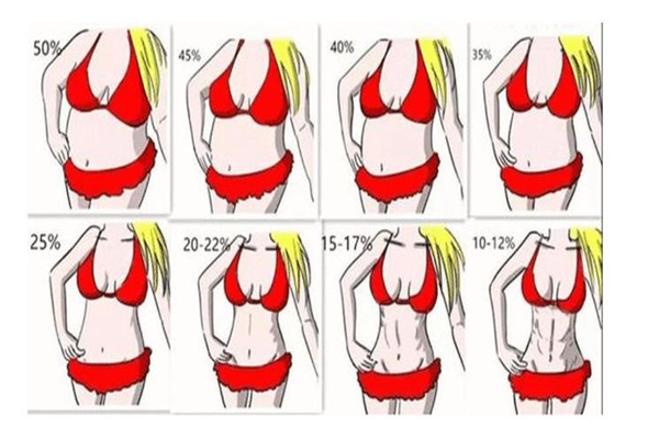 體脂率是脂肪率嗎 體脂率是怎么測出來的