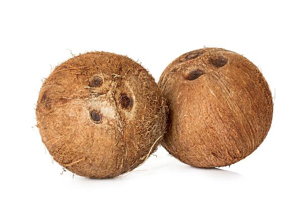 椰子的營(yíng)養(yǎng)價(jià)值及功效 椰子肉的正確吃法 椰子的營(yíng)養(yǎng)價(jià)值及功效 椰子肉的正確吃法