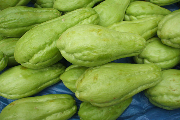 佛手瓜是什么季節(jié)的菜 佛手瓜的營(yíng)養(yǎng)成分 佛手瓜是什么季節(jié)的菜 佛手瓜的營(yíng)養(yǎng)成分