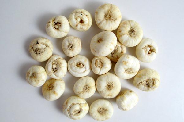 川貝孕婦咳嗽可以吃嗎 川貝孕婦能泡水喝嗎 川貝孕婦咳嗽可以吃嗎 川貝孕婦能泡水喝嗎