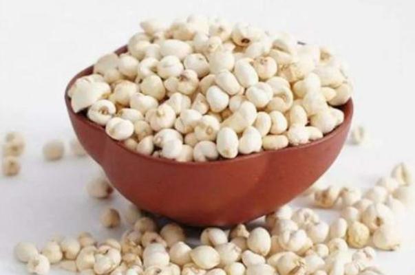 川貝對(duì)支氣管炎有用嗎 川貝對(duì)肺結(jié)節(jié)有用嗎