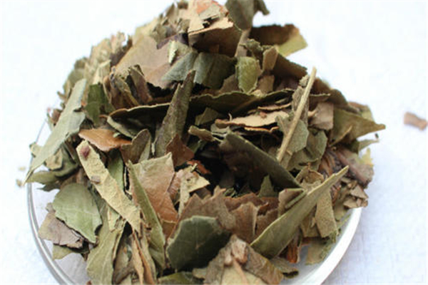 枇杷葉適合風寒咳嗽嗎 枇杷葉適合什么咳嗽