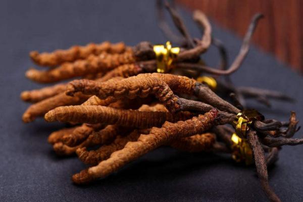 冬蟲夏草會(huì)不會(huì)上火 冬蟲夏草會(huì)過敏嗎 冬蟲夏草會(huì)不會(huì)上火 冬蟲夏草會(huì)過敏嗎