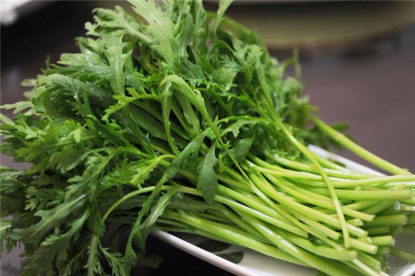 茼蒿吃葉子還是吃桿 茼蒿吃多了有什么壞處 茼蒿吃葉子還是吃桿 茼蒿吃多了有什么壞處