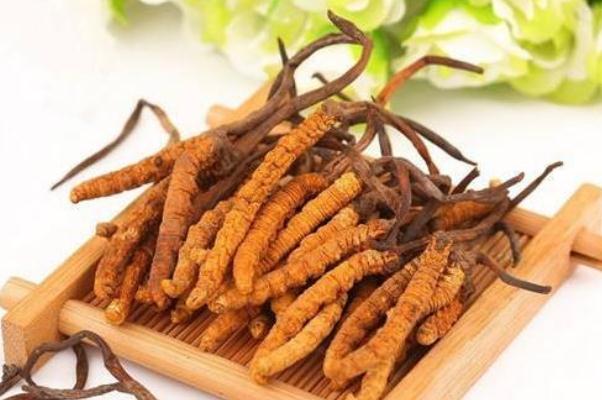 冬蟲夏草會(huì)不會(huì)上火 冬蟲夏草會(huì)過敏嗎 冬蟲夏草會(huì)不會(huì)上火 冬蟲夏草會(huì)過敏嗎